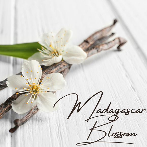 Madagascar Blossom