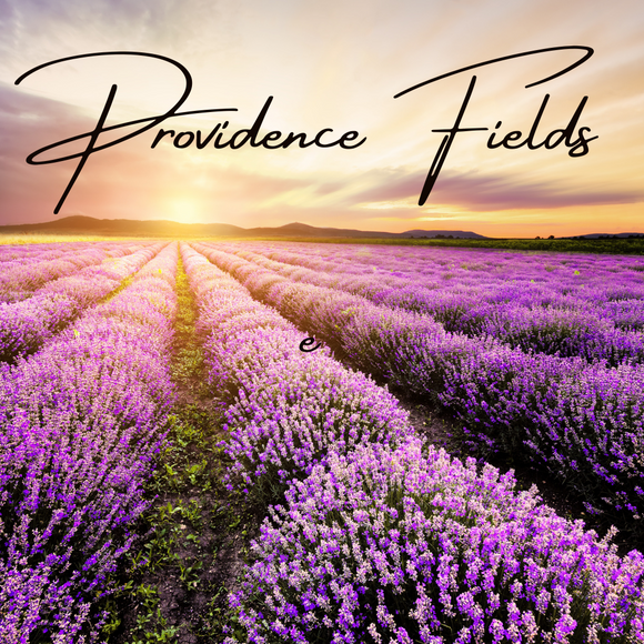 Providence Fields